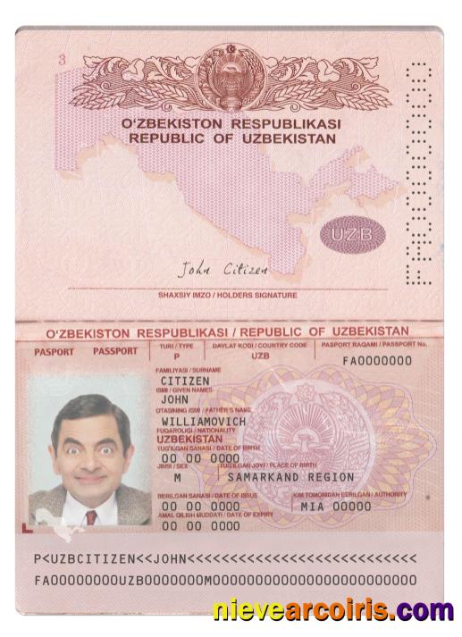 Uzbekistan passport 2022-present